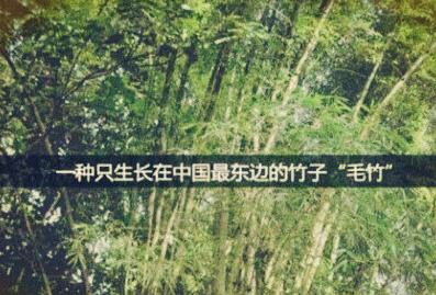 1461650097823241.jpg IMG_0810.JPG