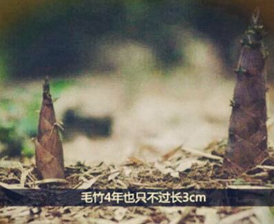 1461650103652060.jpg IMG_0811.JPG