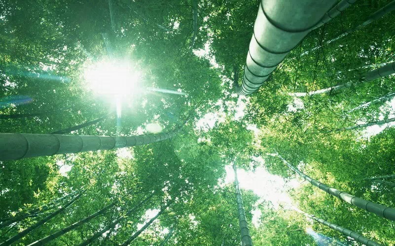 1461650132346018.jpg IMG_0815.JPG