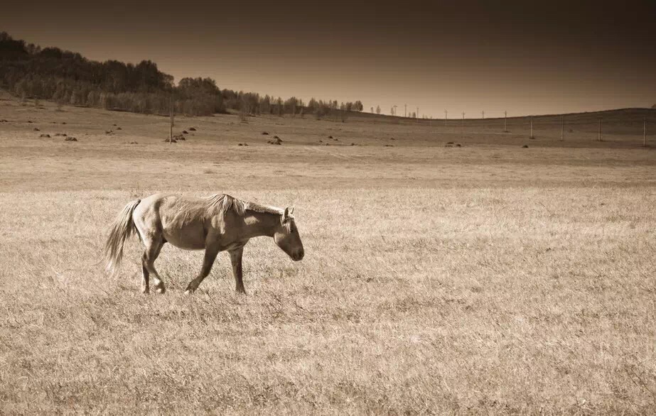 1461650421109997.jpg IMG_0819.JPG