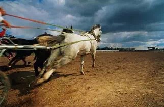 1464073905113014.jpg IMG_0979.JPG