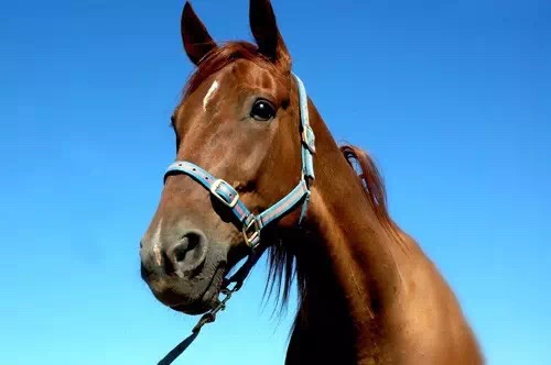 1464073985882883.jpg IMG_0984.JPG