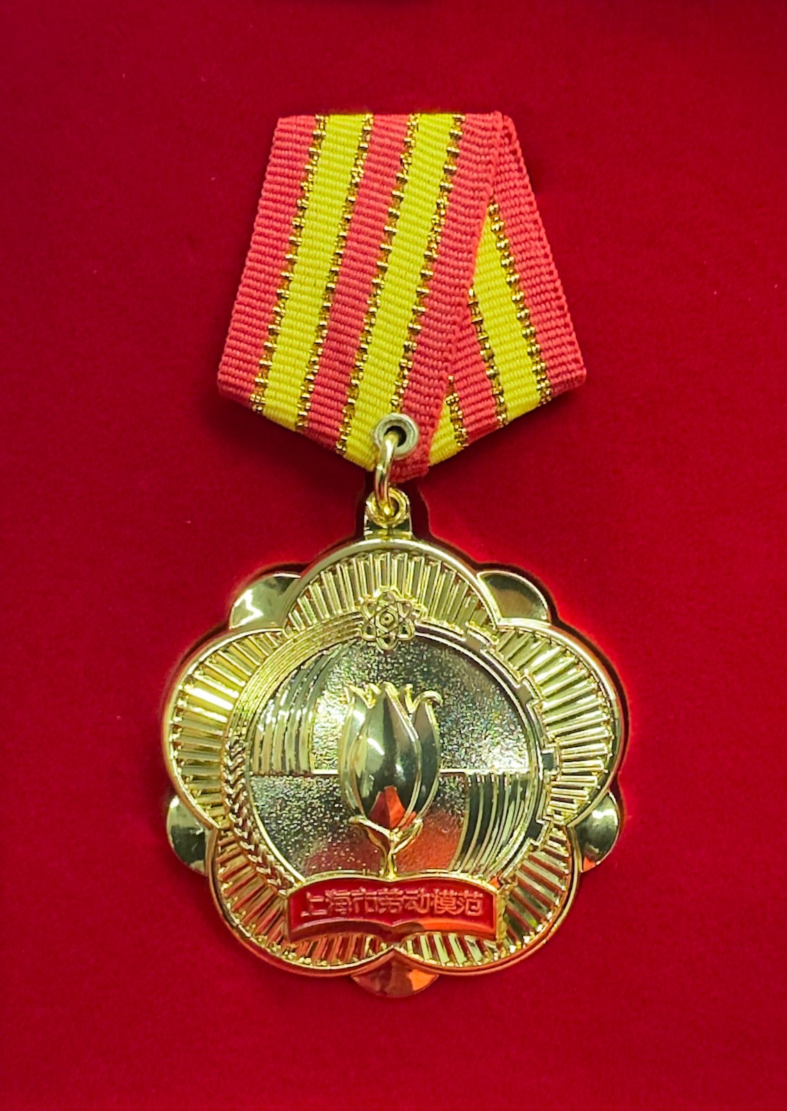 1747038956148029.jpg